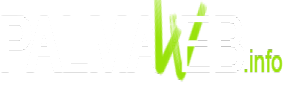 SEO Mallorca PalmaWeb